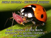 Степанов. Духовная арифметика в графическом сублимате для верующих и неверующих